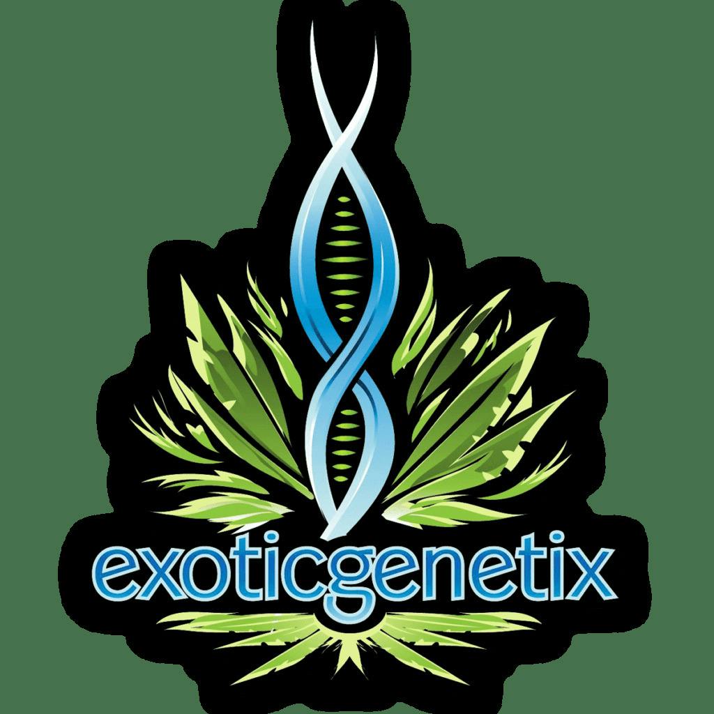 Exotic Genetix - Yogurt Drip - Bulk Live Rosin at Nirvana Center - Sault Ste. Marie