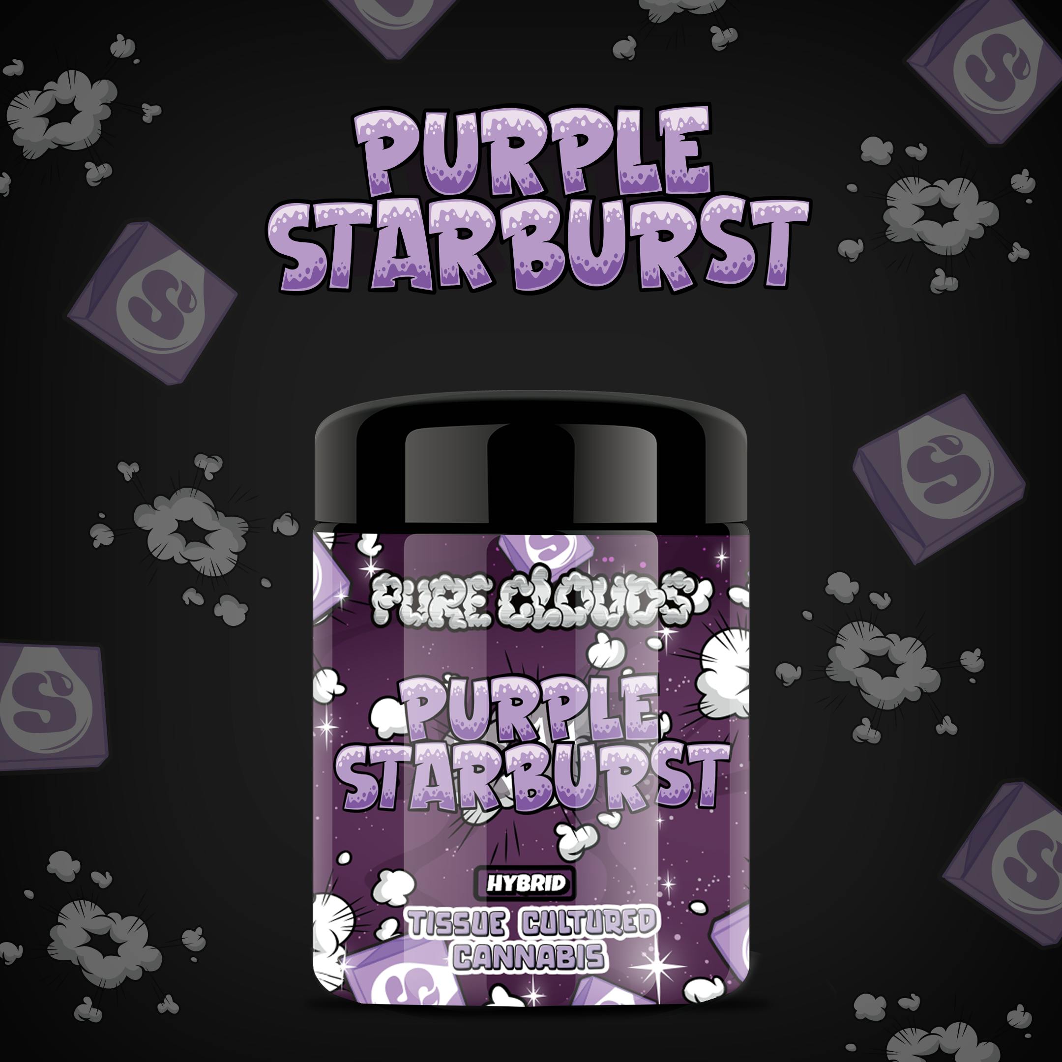 Purple Starburst