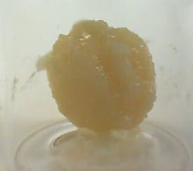 Cured Resin (1g) - Agua Pop