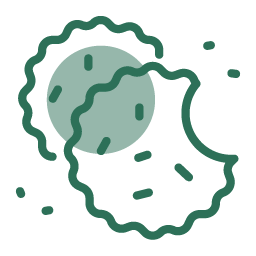 KIVA - Juicy — Gummies