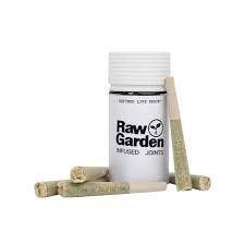 Raw Garden - — Daily Driver