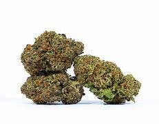 Rainbow Sherbert11