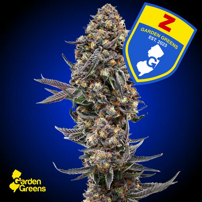 Z | FLOWER BIG BUDS - 3.5 g