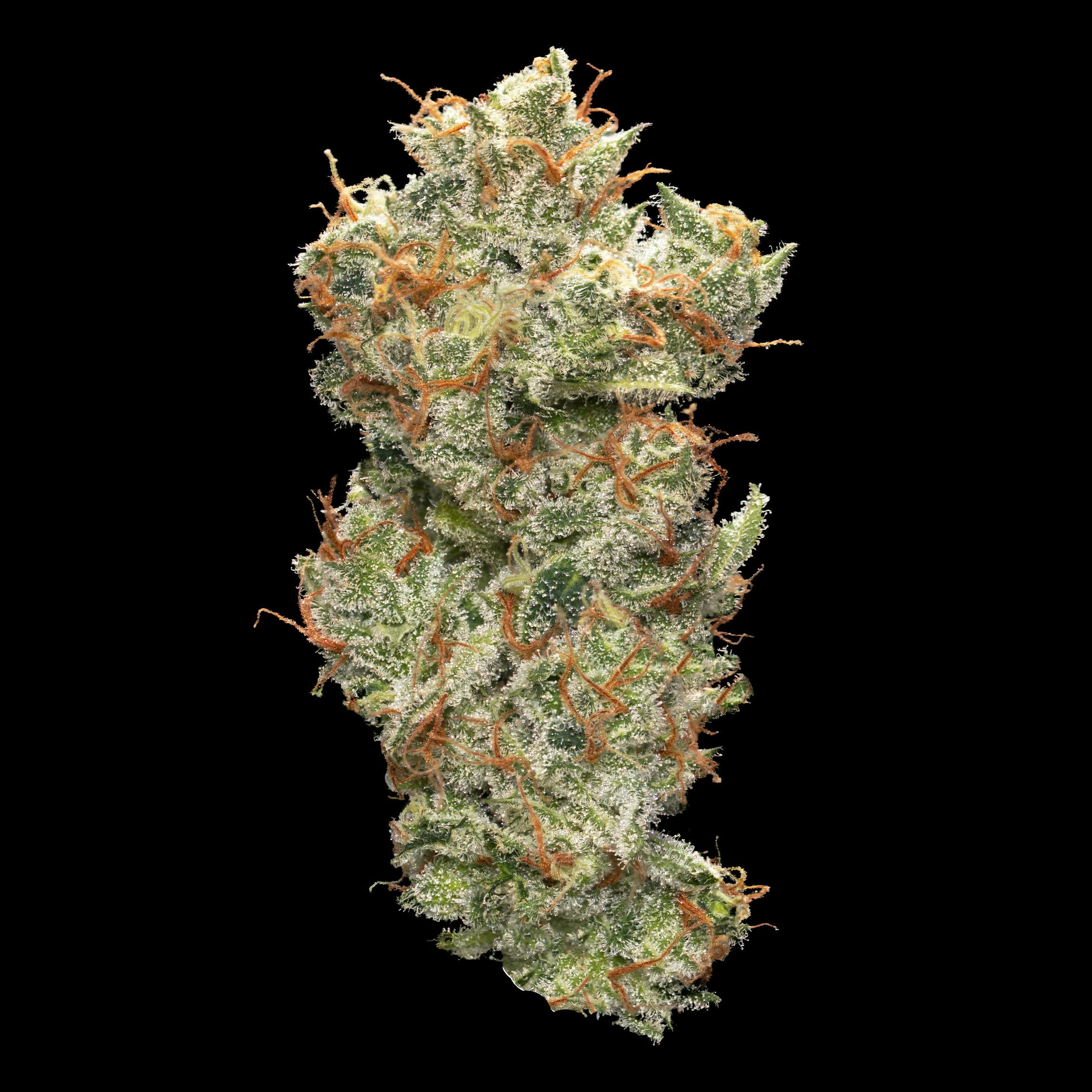 Sour Amnesia Haze at House of Hash (Medical)