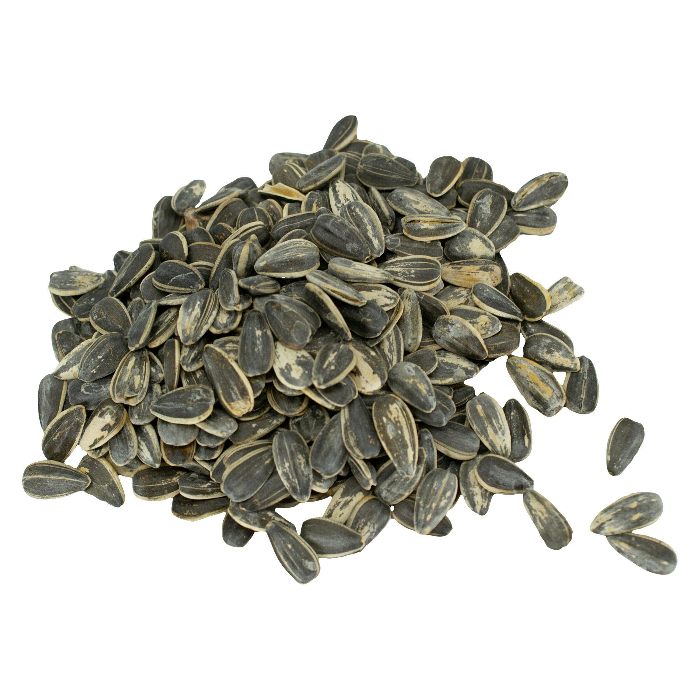 Salt and Black Pepper Sunnies 50g Savory Snacks