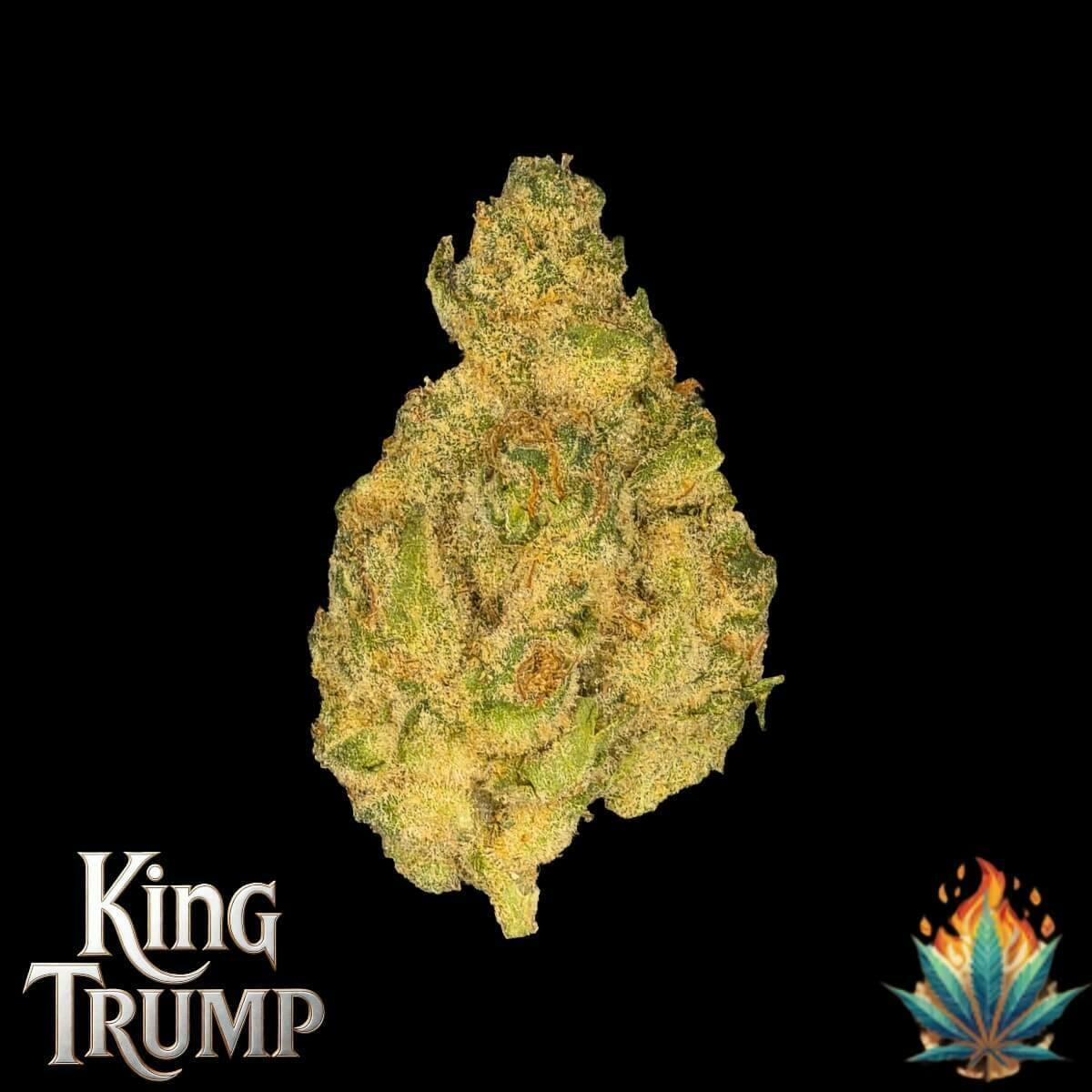 Native Fire 3.5g -Trump OG