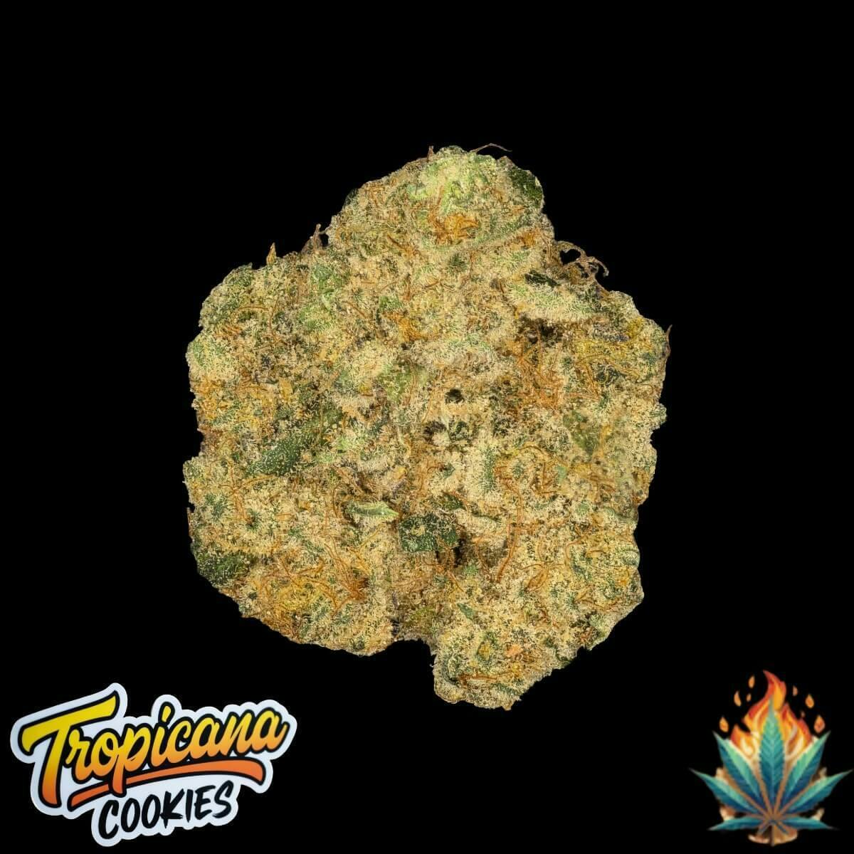 Native Fire *1/2 OZ*- Purple Tangie