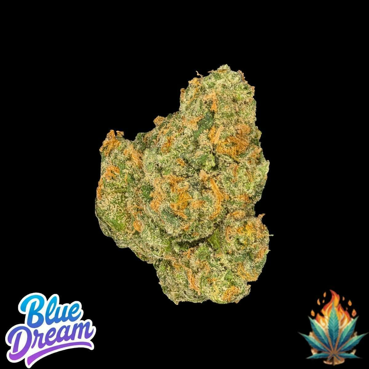 Native Fire *OZ*- Durban