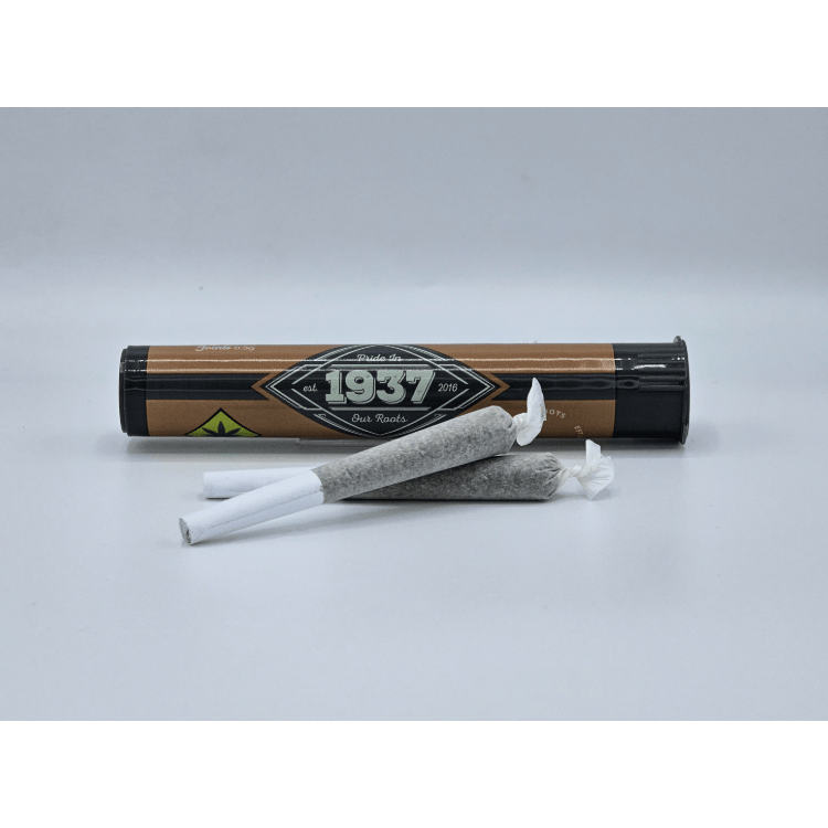 White Truffle Bx1 4