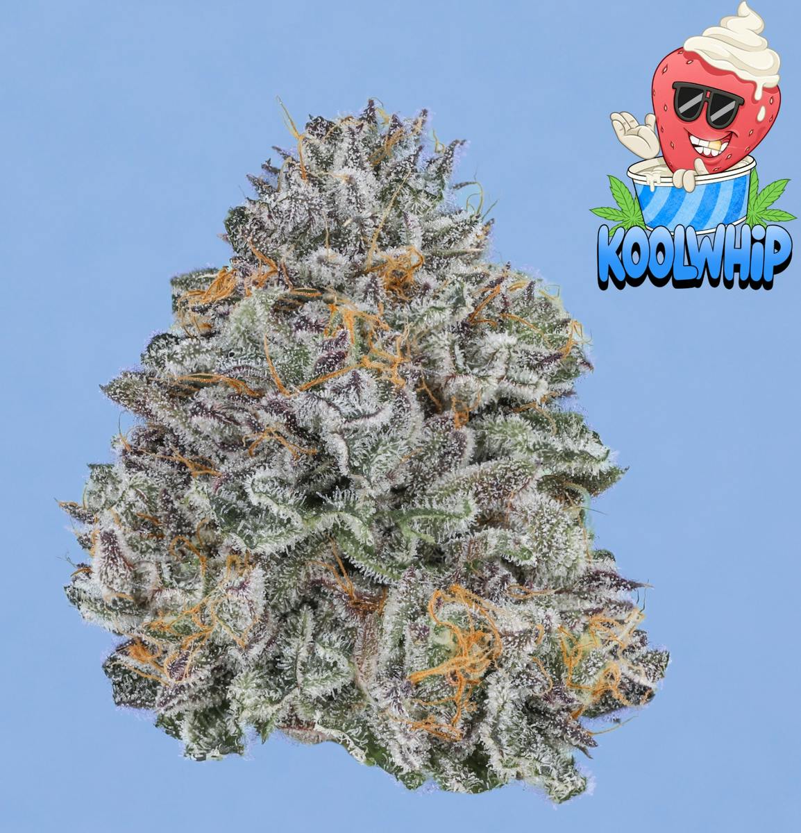 Kool Whip 7g - Freddy's Fuego