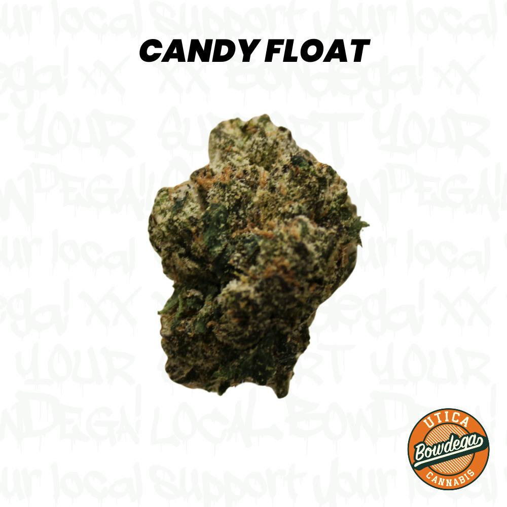 Hytek | Candy Float