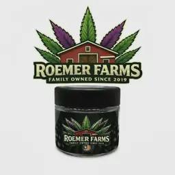 Roemer E 85