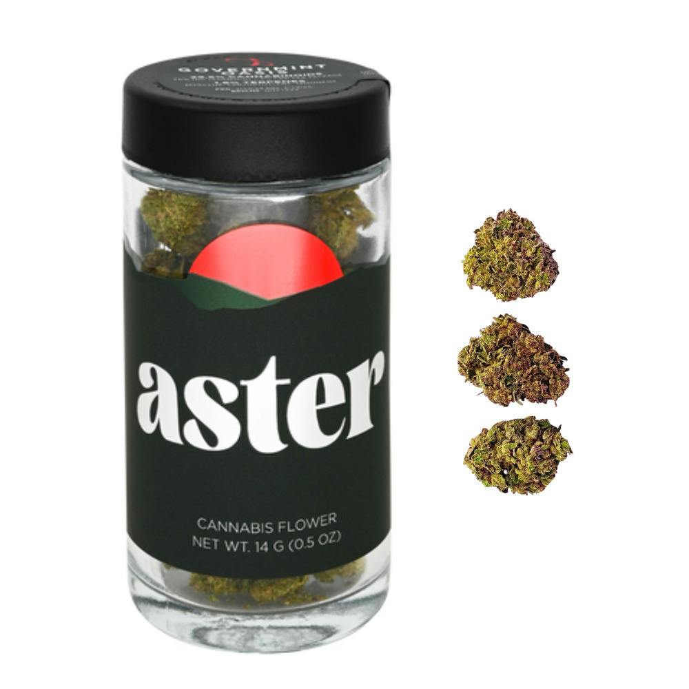 Aster | Cheetah Piss | 14g (H)