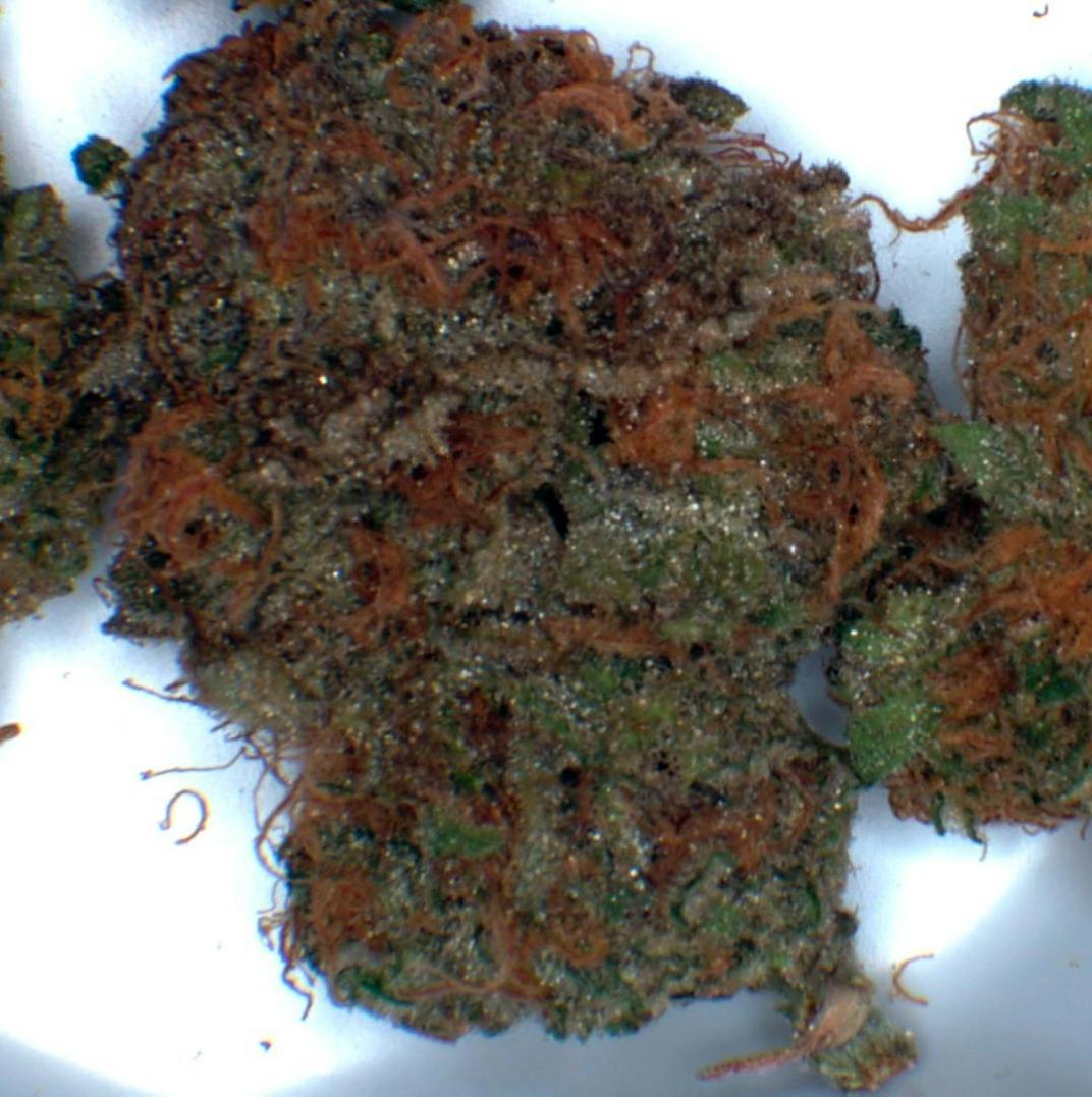 Blue Dream