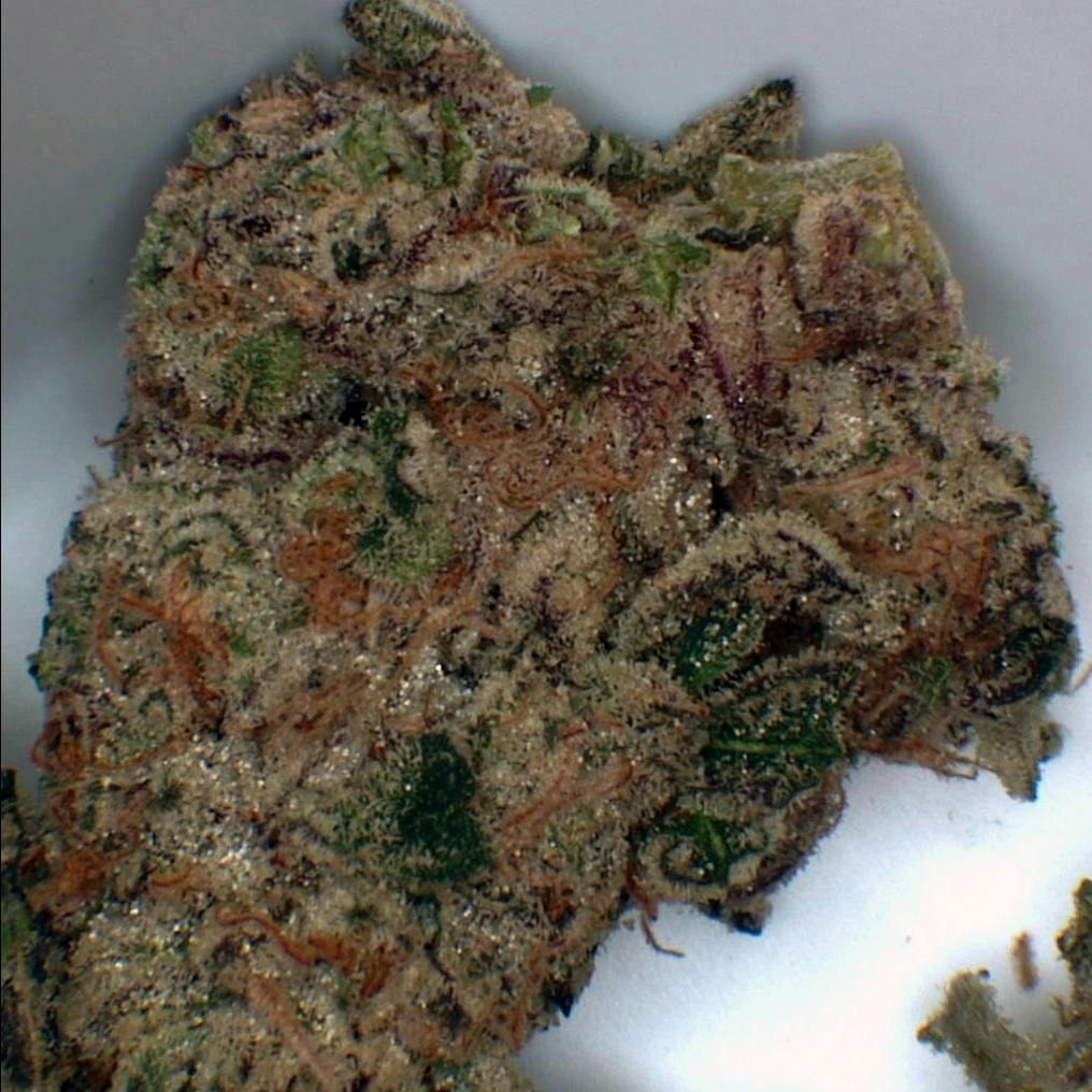GMO Cookies