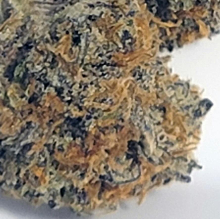 Lemonhead