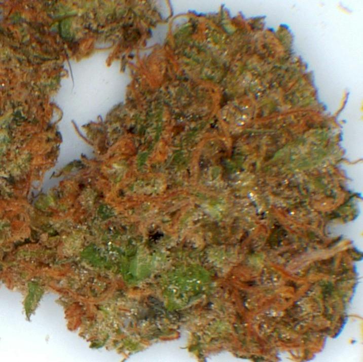 Sour Diesel