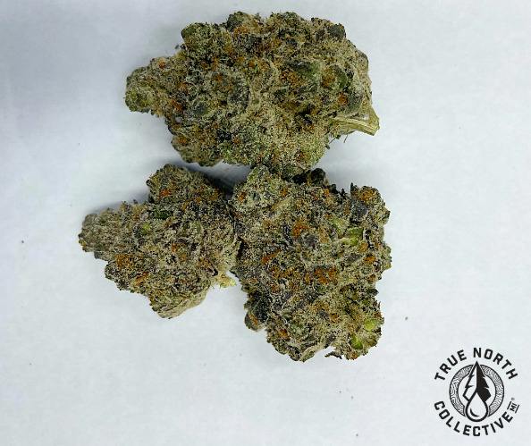 Satsuma Sherb #5 | True North Collective
