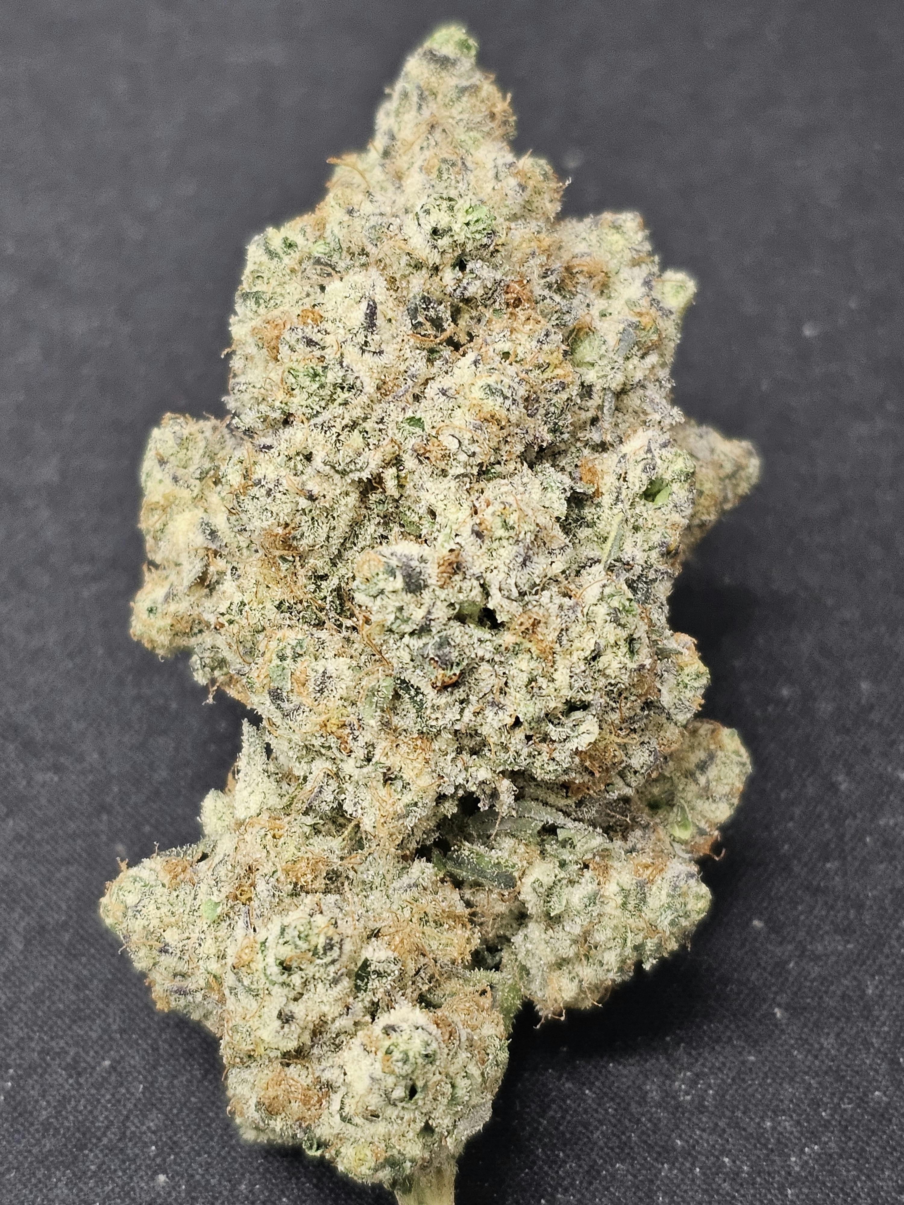 Strawberry Fireball | Dr. JC's Exotics