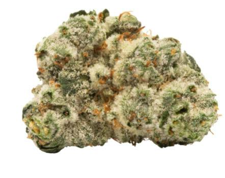 Frosted Truffle Pie | Lightsky Farms