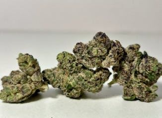 Mocha Runtz | Cali Blaze cannabis product