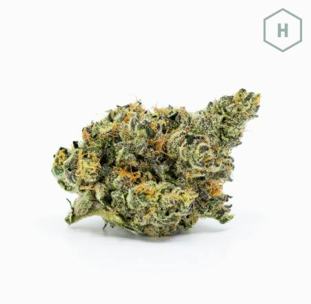 GMO Crasher | Smalls | Six Labs