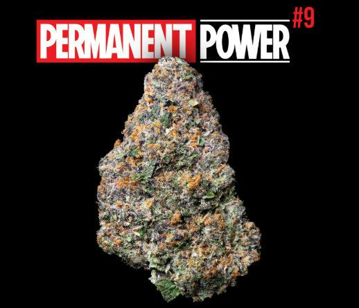 Permanent Power #9 | Uplyfted Cannabis Co. cannabis product