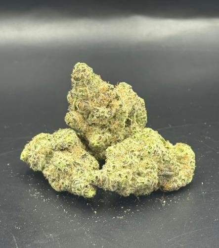Boston Orange | True North Collective