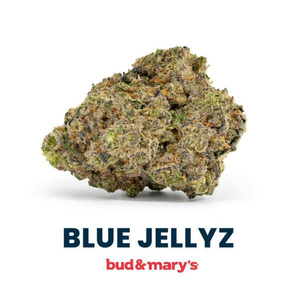 Blue Jellyz | Bud & Mary's