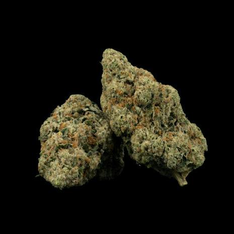 Lemon Sour Diesel | Weed Snobs