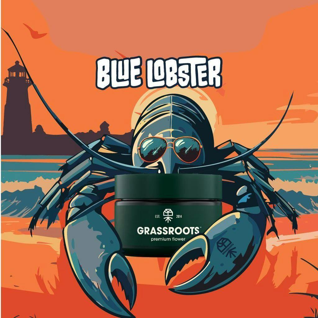 Grassroots Blue Lobster Small Buds 7g