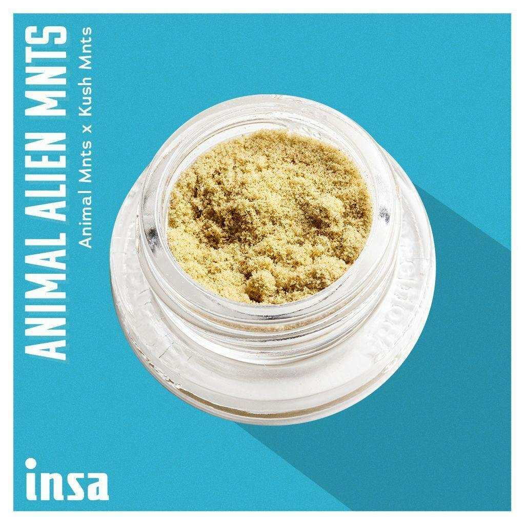 INSA Animal Alien Mnts Kief 1g