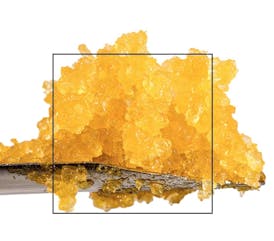 Olio Live Resin Dry Sugar Blazing Sapphire 1g