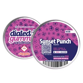 Dialed In Gummies Sunset Punch (Papanana) 100mg
