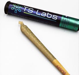 TS Labs Live Rosin Infused Joint Platinum Huckleberry 1g