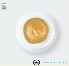 Next1 Live Budder Daywalker OG 1g
