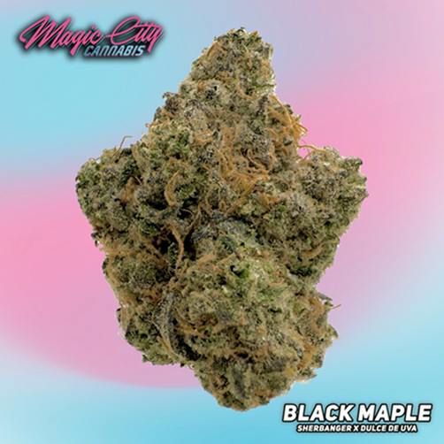 Magic City Cannabis (In House) - Black Maple