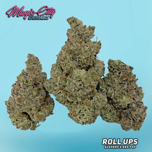 Magic City Roll Ups