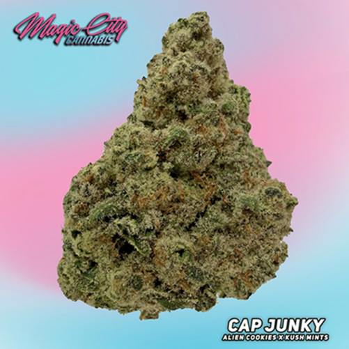 Magic City Cap Junky