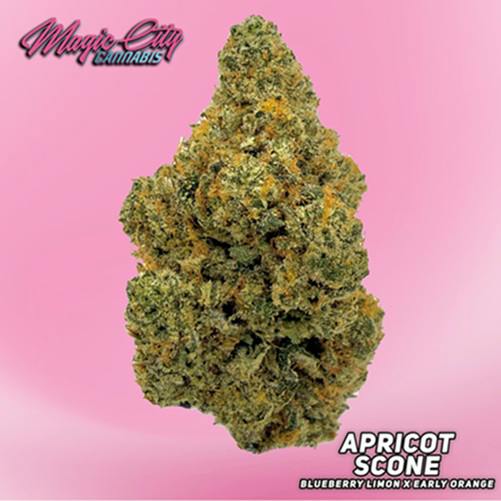 Magic City Cannabis (In House) - Apricot Scone