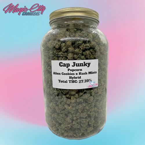 Magic City Cap Junky #4