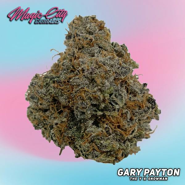 Magic City Cannabis (In House) - Gary Payton
