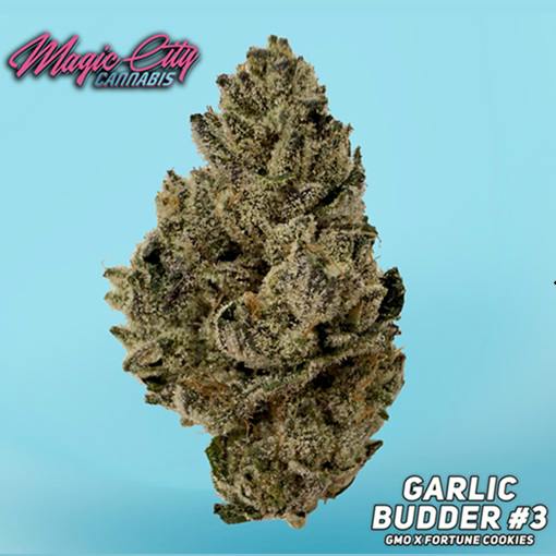 Magic City Cannabis (In House) - Garlic Budder