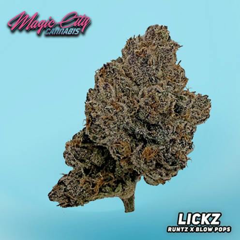 Magic City Cannabis (In House) - Lickz