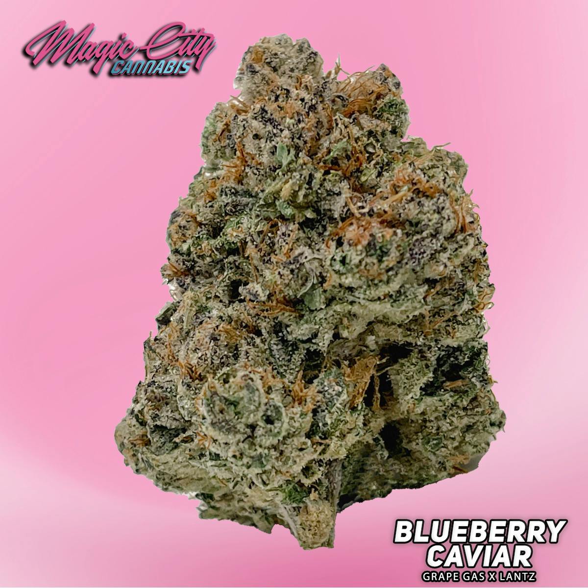 Magic City Cannabis (In House) - Blueberry Caviar #2