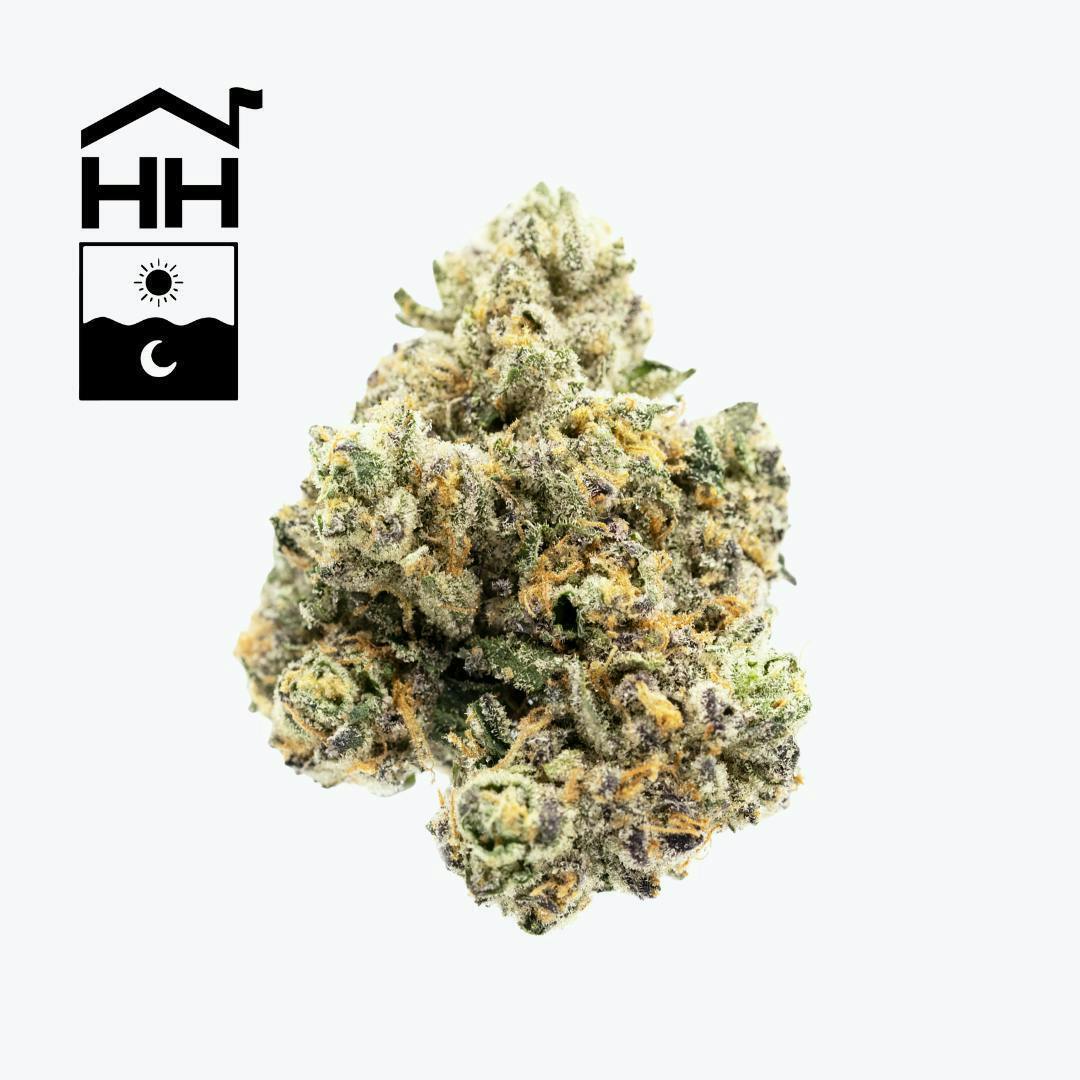 HARBOR HOUSE | CHEM 91 (H) | 3.5g