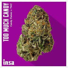INSA | TOO MUCH CANDY (I/H) | 3.5g