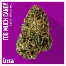 INSA | TOO MUCH CANDY (I/H) | 14g