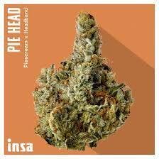INSA | PIE HEAD (I/H) | 3.5g