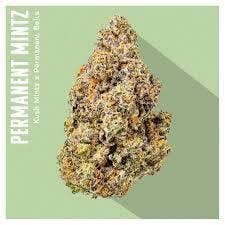 INSA | PERMANENT MINTZ (H) | 3.5g